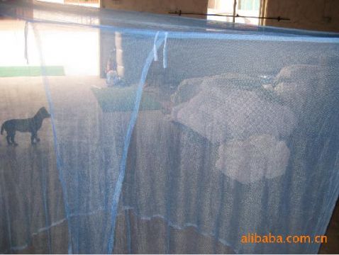 Insecticide Treated Mosquito Net From Malaria And Against Other Insect Disease